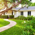 home garden landscaping companies in dubai work
