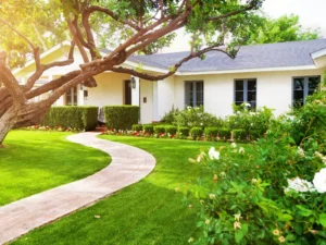 home garden landscaping companies in dubai work