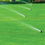 irrigation green best landscaping companies in dubai