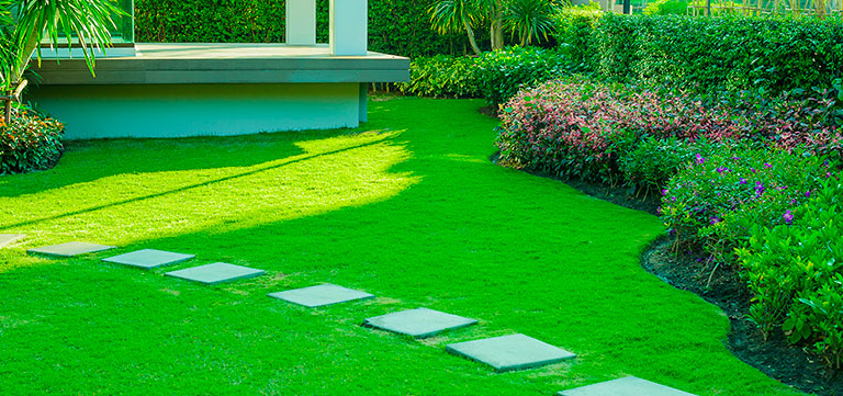 4 Top Benefits of Hiring Our Professional Lawn Services