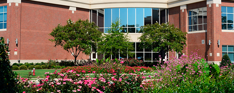 Enjoy the top benefits of Commercial Landscaping in Chandler AZ