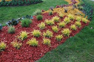 benefits of mulching your plants