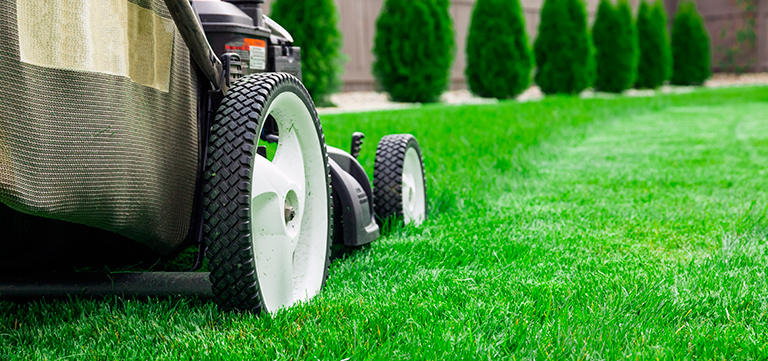 Lawn Care mowing healthy grass